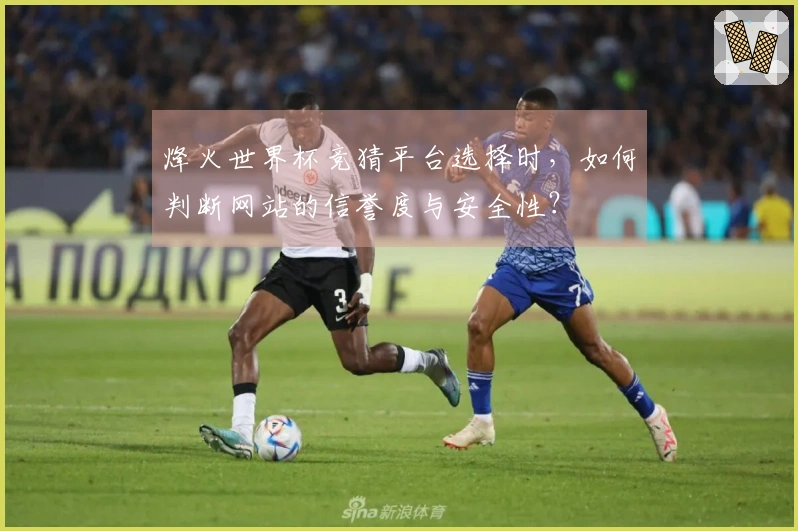 烽火世界杯竞猜平台选择时，如何判断网站的信誉度与安全性？