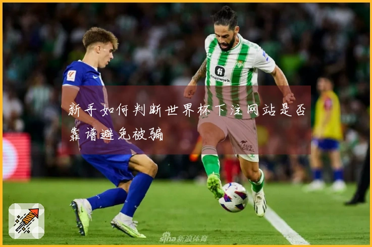 新手如何判断世界杯下注网站是否靠谱避免被骗