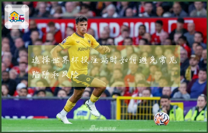 选择世界杯投注站时如何避免常见陷阱和风险