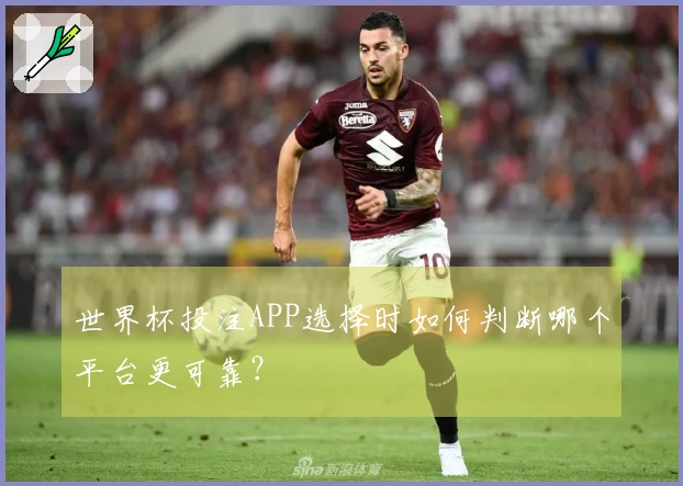 世界杯投注APP选择时如何判断哪个平台更可靠？